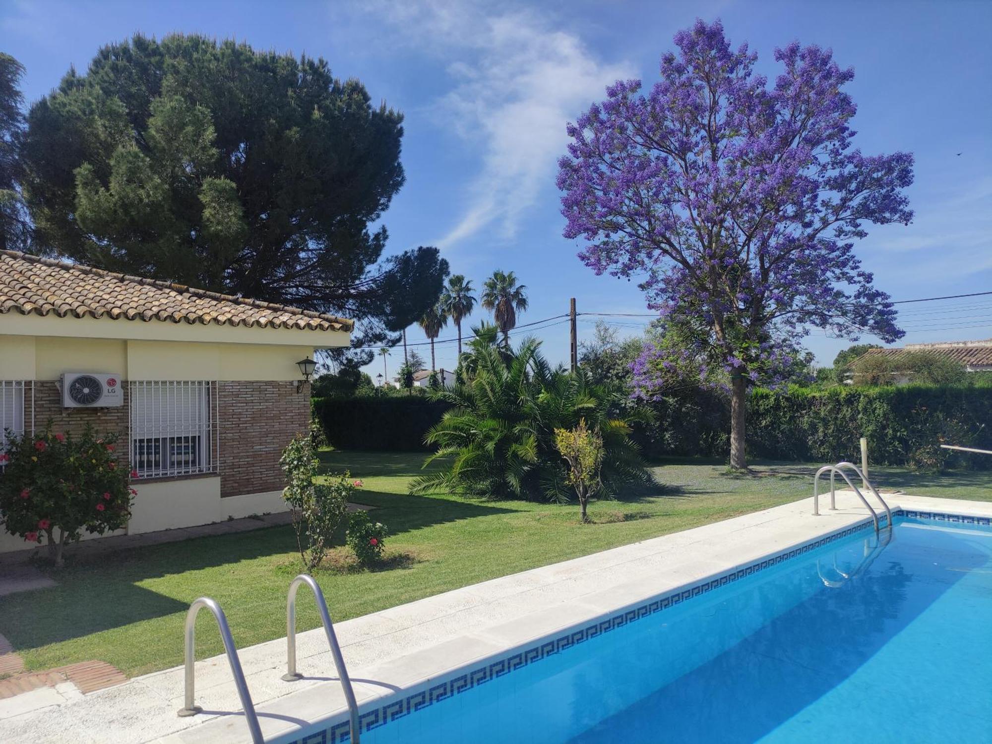 Remanso De Paz Cerca De Sevilla Dreamertu Palomares del Río Exterior foto