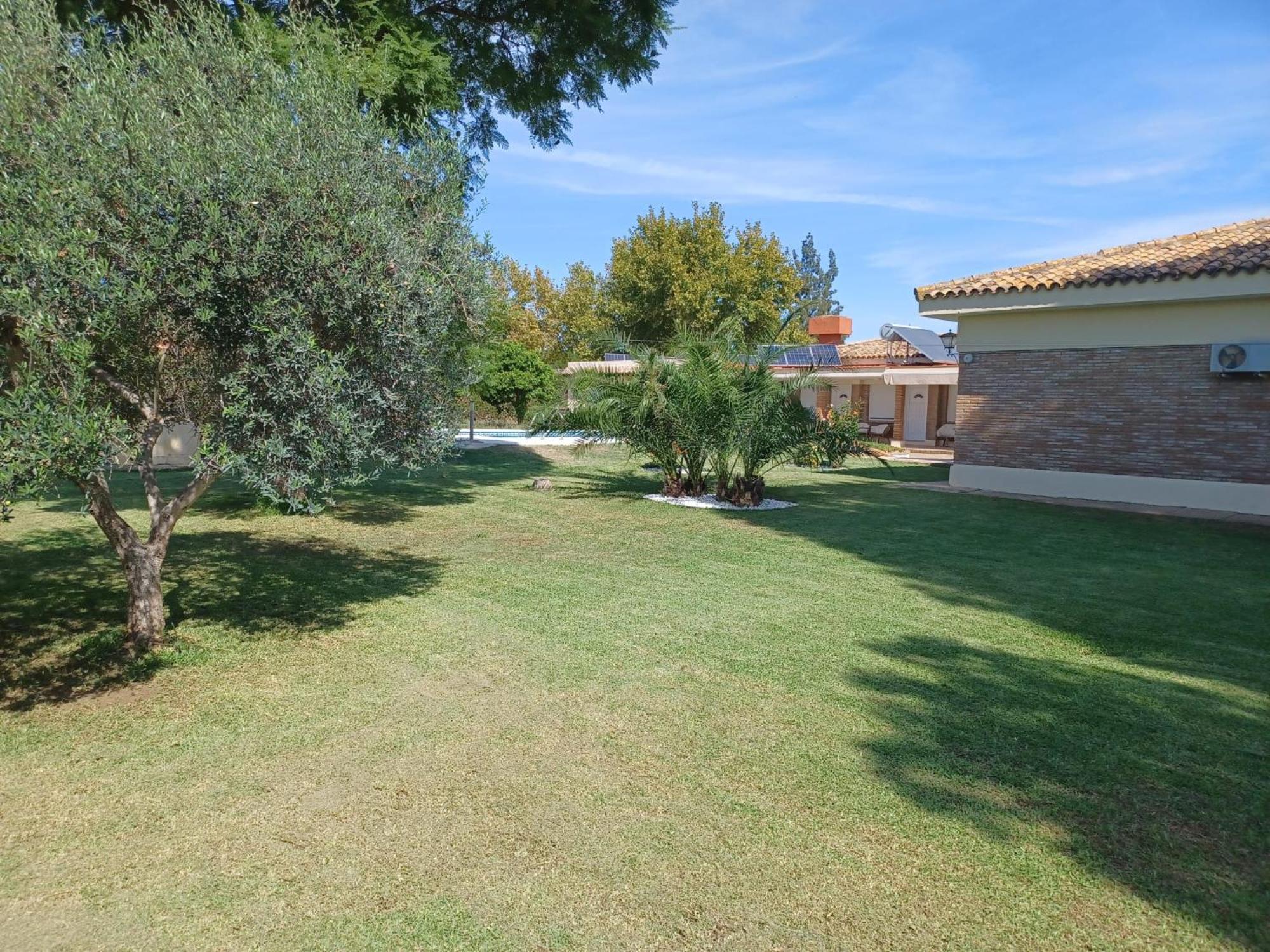 Remanso De Paz Cerca De Sevilla Dreamertu Palomares del Río Exterior foto